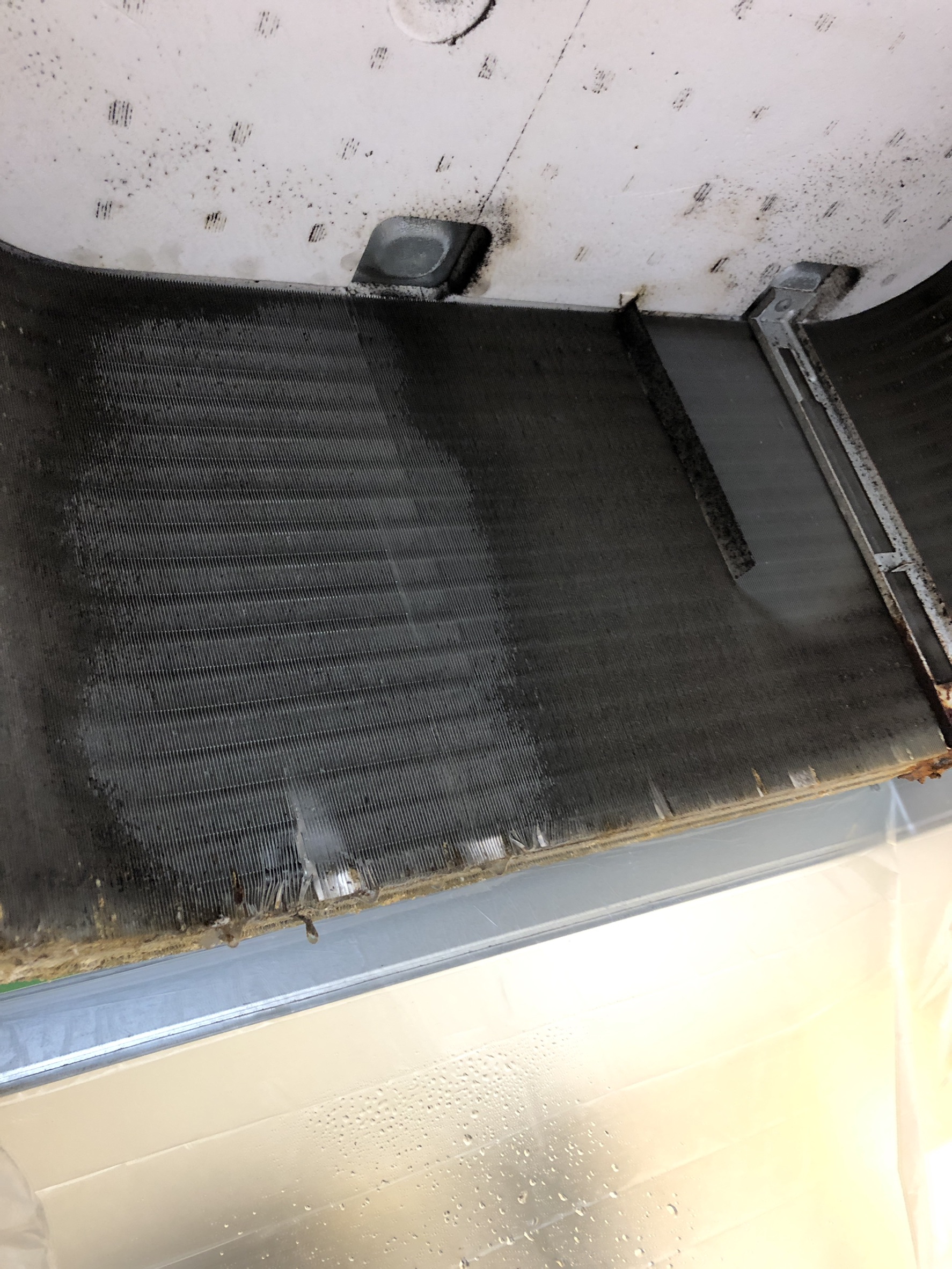 光触媒コーティング